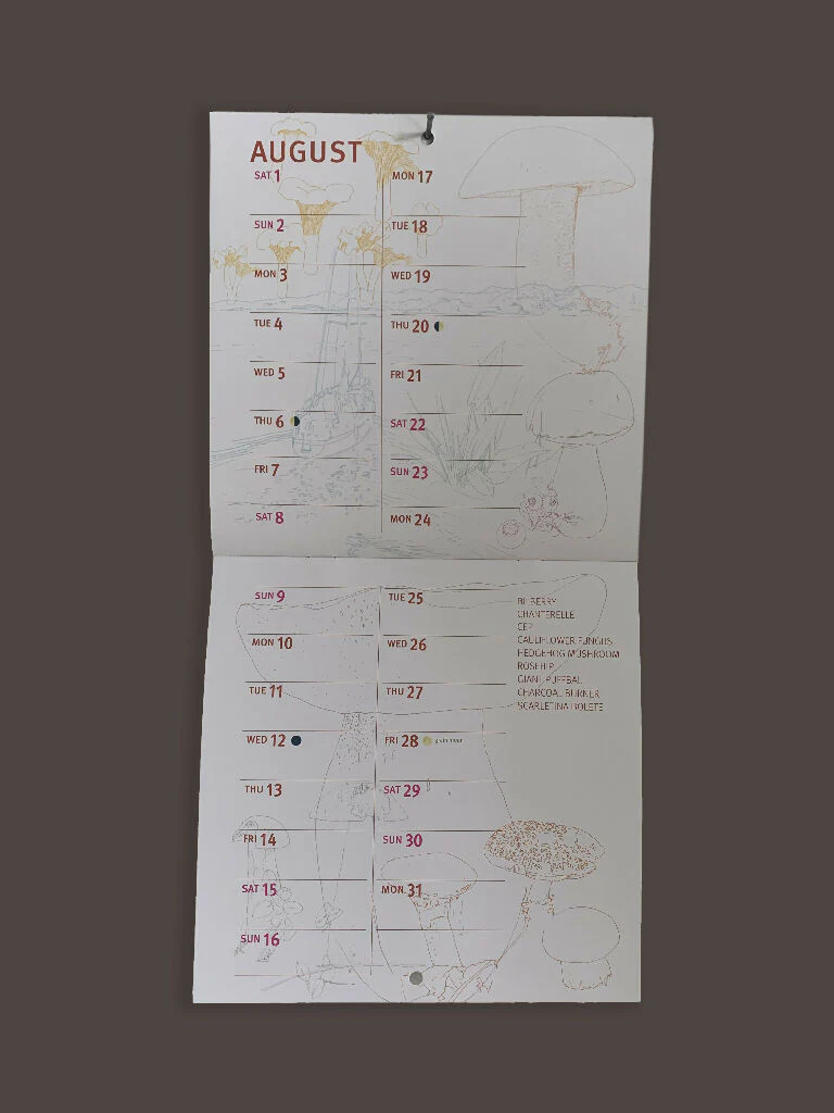 2026 Forager’s Calendar – Illustrated Wall Calendar with Fungi, Berries & Wild Plants - Image 4
