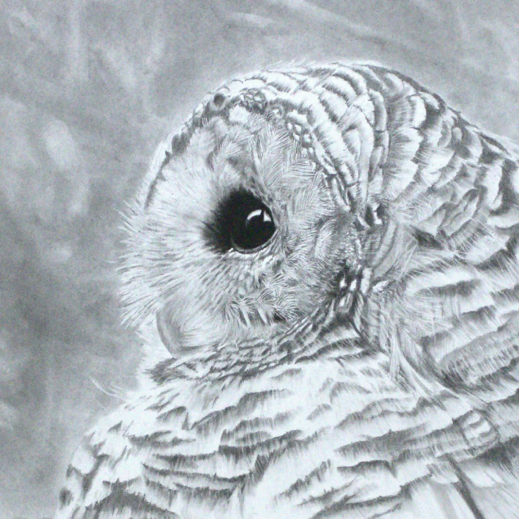 2026 Owl Calendar, A4 size in black and white - Image 4