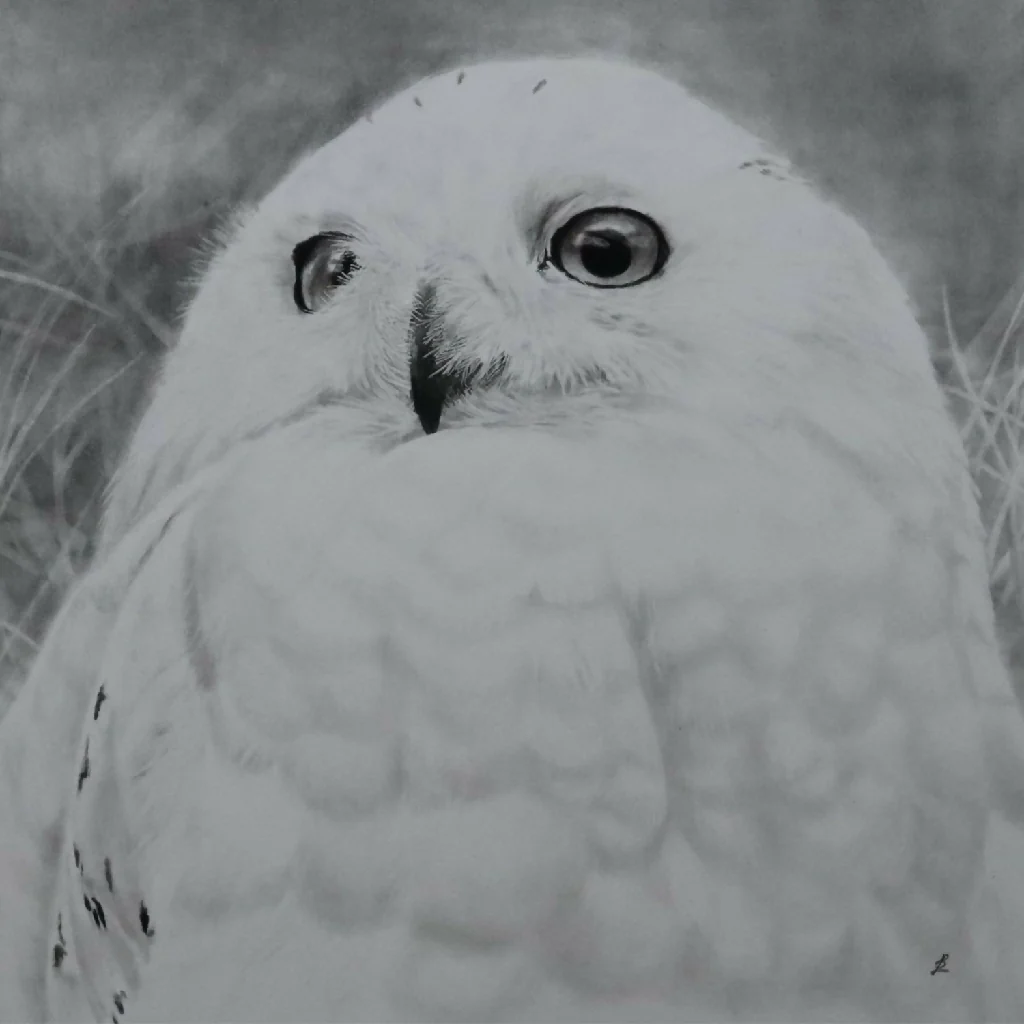 2026 Owl Calendar, A4 size in black and white - Image 5
