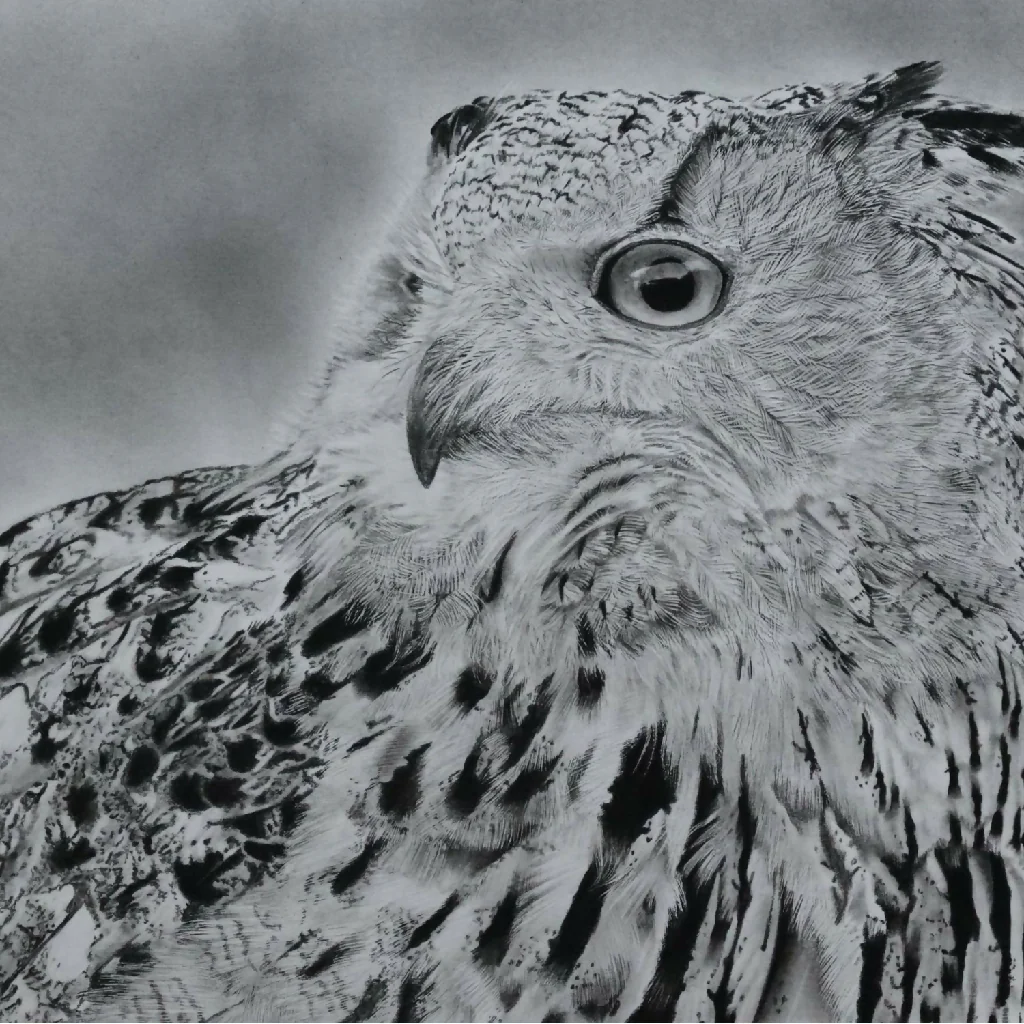 2026 Owl Calendar, A4 size in black and white - Image 6