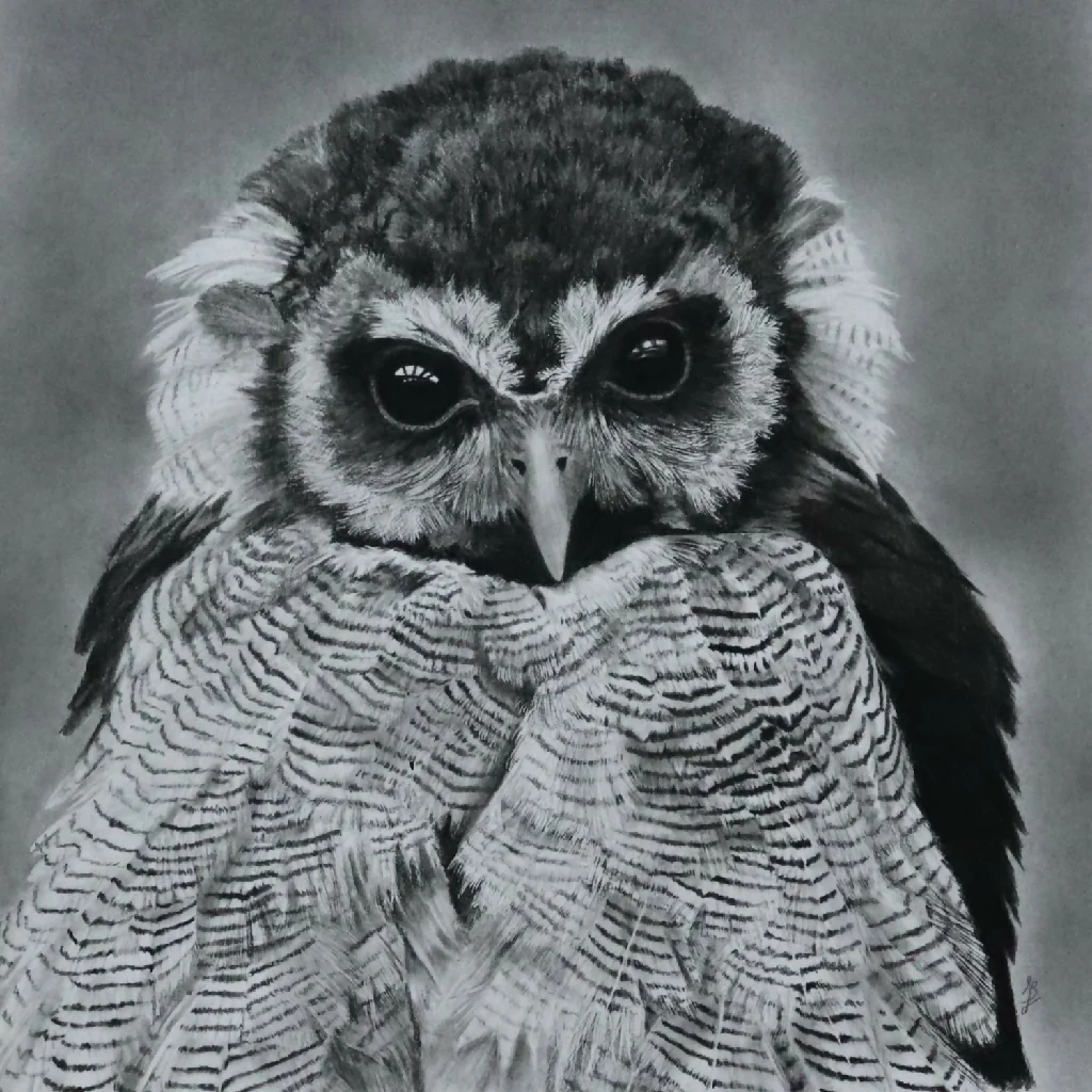 2026 Owl Calendar, A4 size in black and white - Image 7