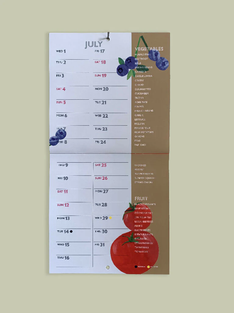 2026 Seasonal Fruit and Vegetable Calendar, Illustrated Monthly Wall Calendar | 21 x 21 cm - Image 4