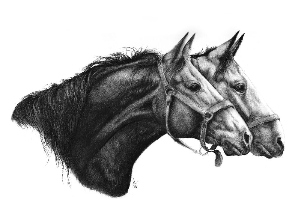A4 Fine Art Print – “Two Horses” - Image 2