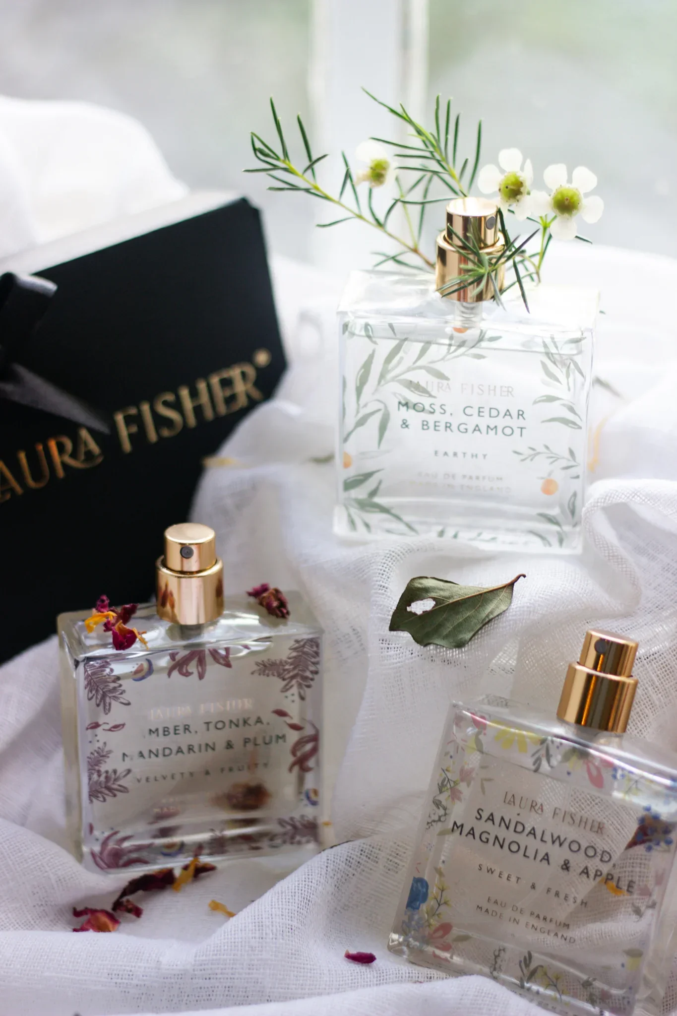 Amber, Tonka, Mandarin Eau De Parfum - Image 3