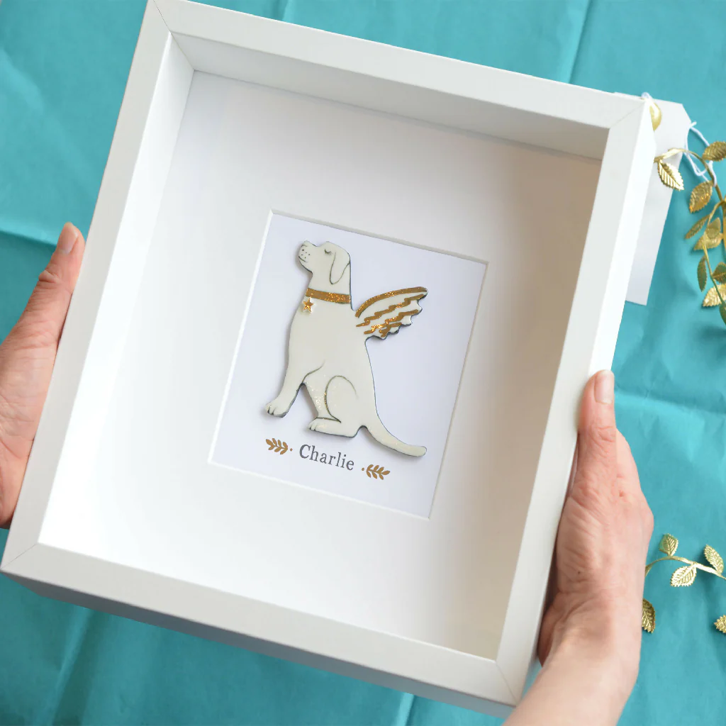 Angelic Labrador Box Frame - Various Breeds Available