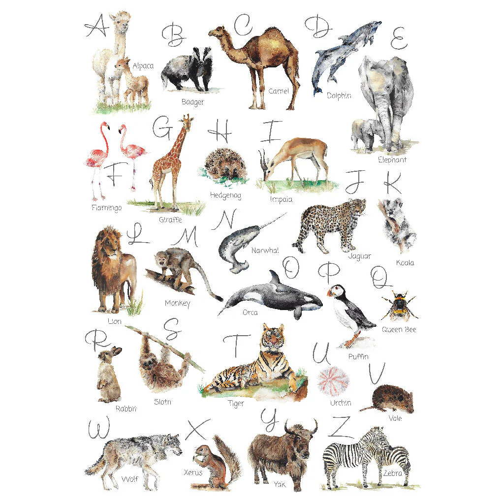 Animal Alphabet Watercolour Print - Image 6