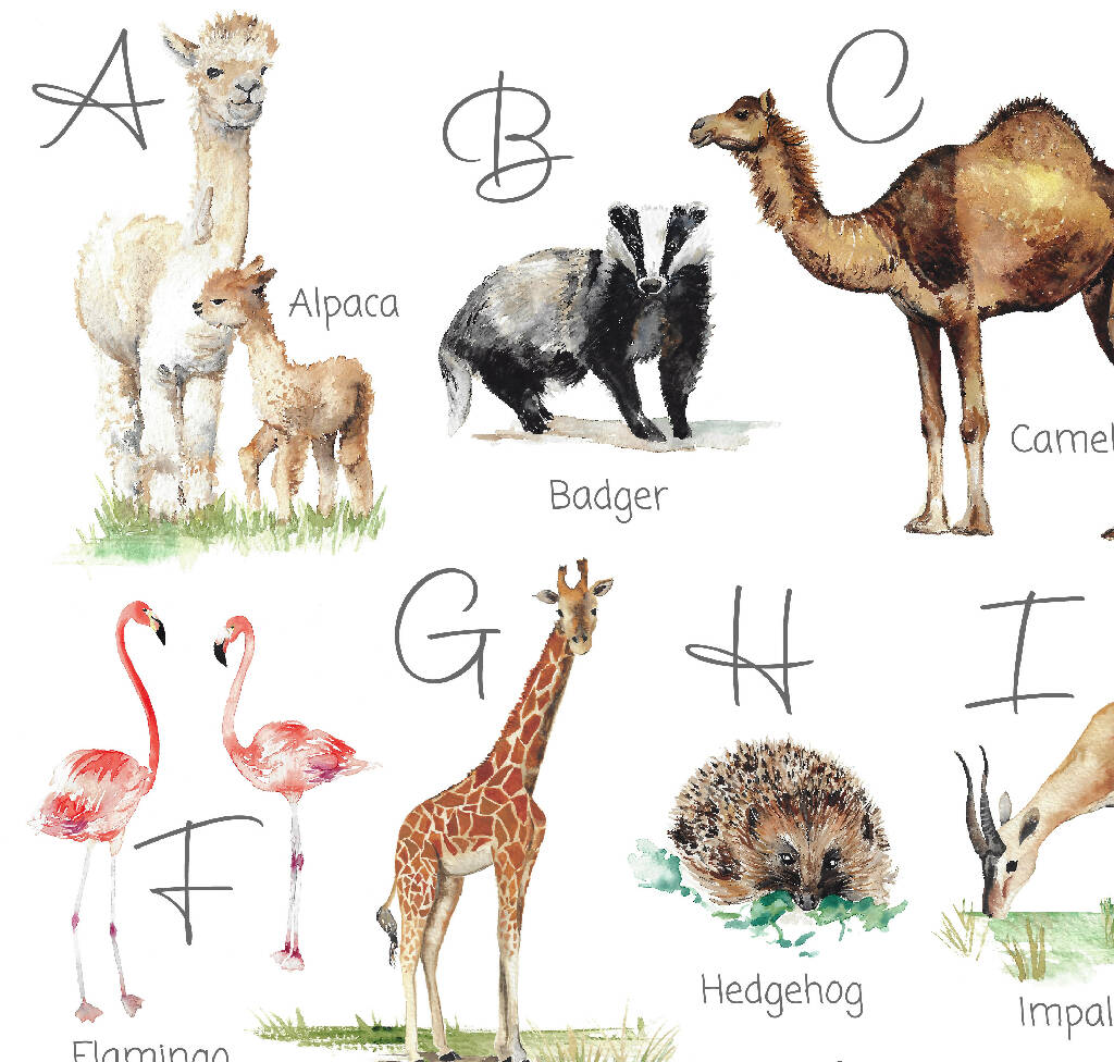 Animal Alphabet Watercolour Print - Image 7