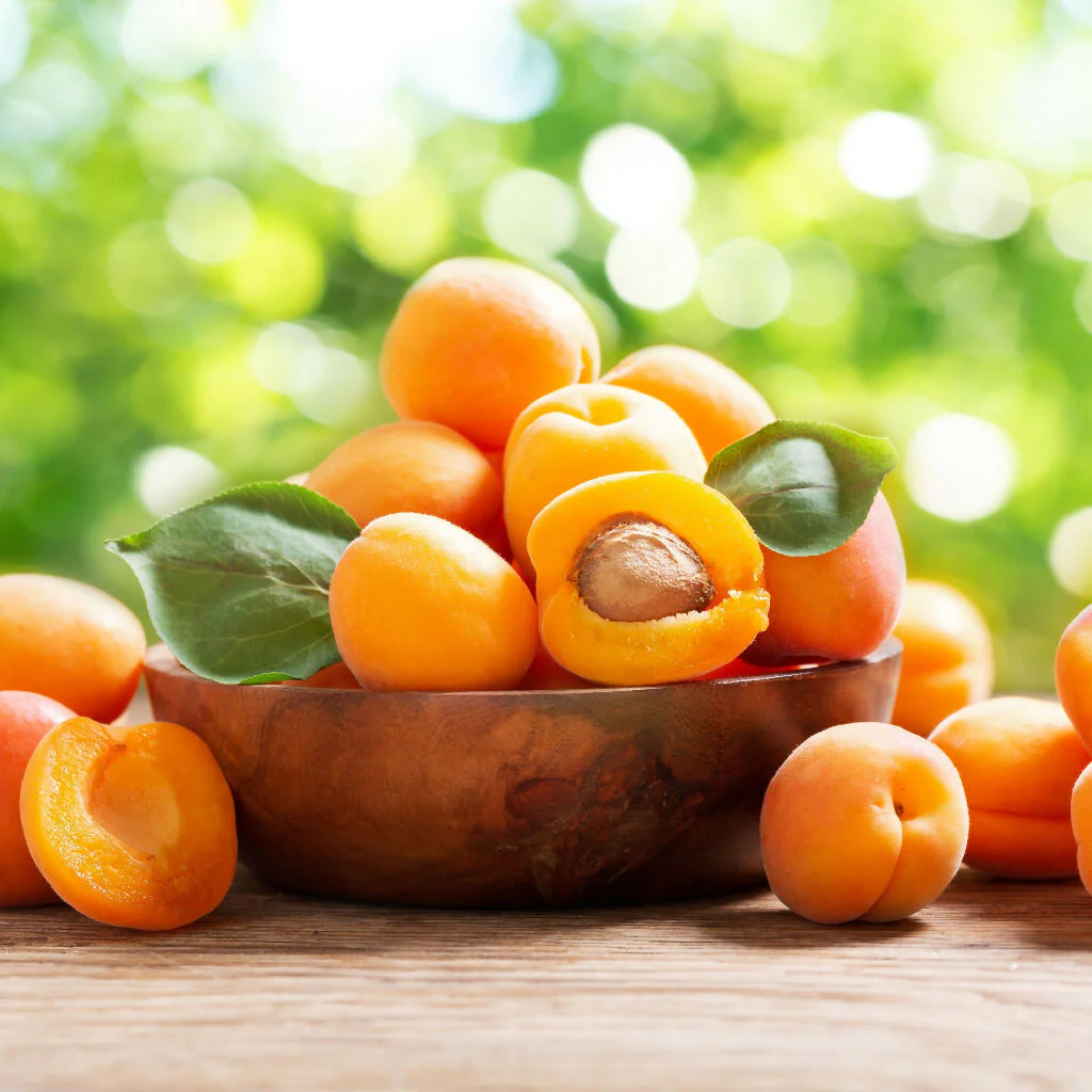 Apricot Trees, 'Moorpark', Full Plants in 10 Litre Pots - Image 3