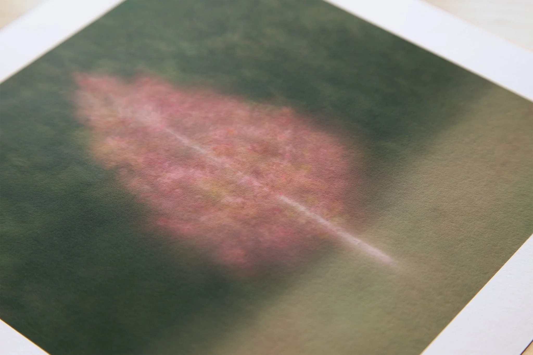 Fine Art Tree Print for Home Interiors 'Aruna' - Image 10