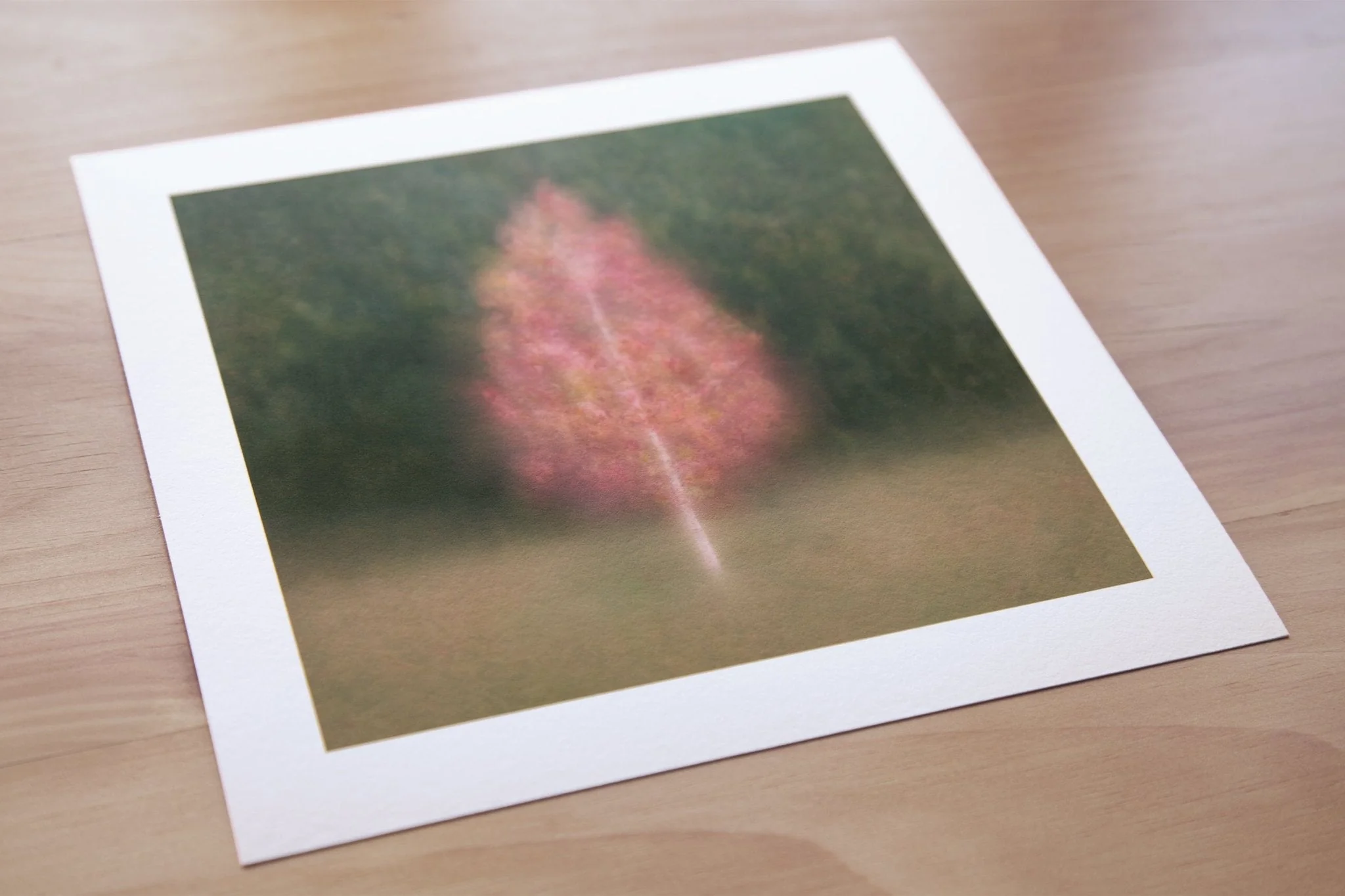 Fine Art Tree Print for Home Interiors 'Aruna' - Image 5