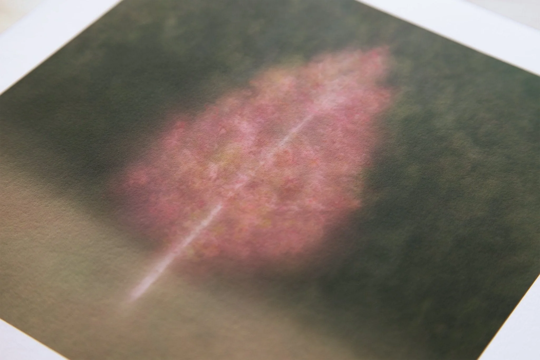 Fine Art Tree Print for Home Interiors 'Aruna' - Image 7