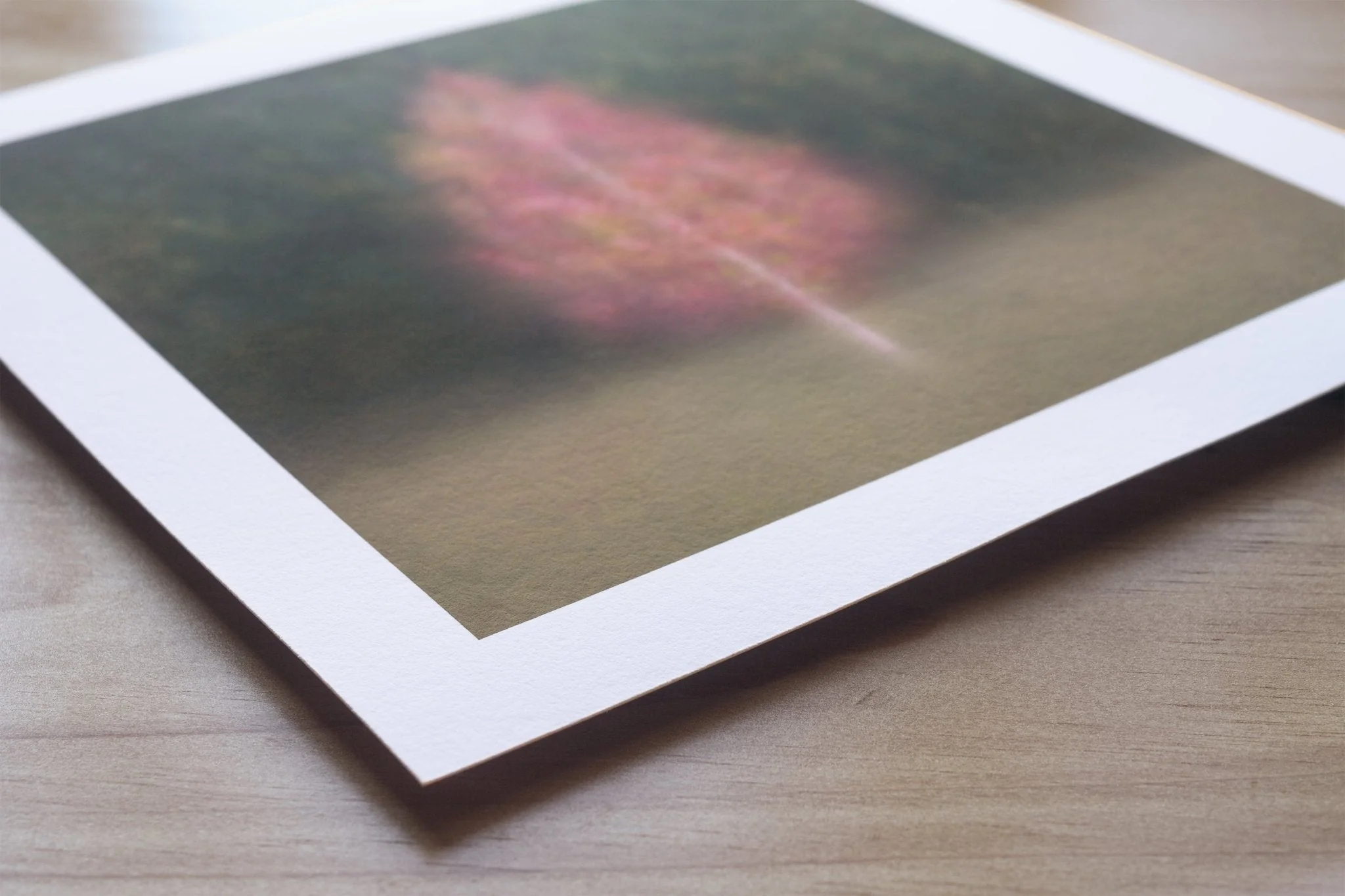 Fine Art Tree Print for Home Interiors 'Aruna' - Image 8