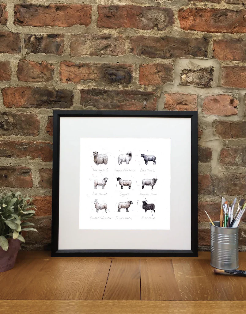Baa | signed Limited Edition Print