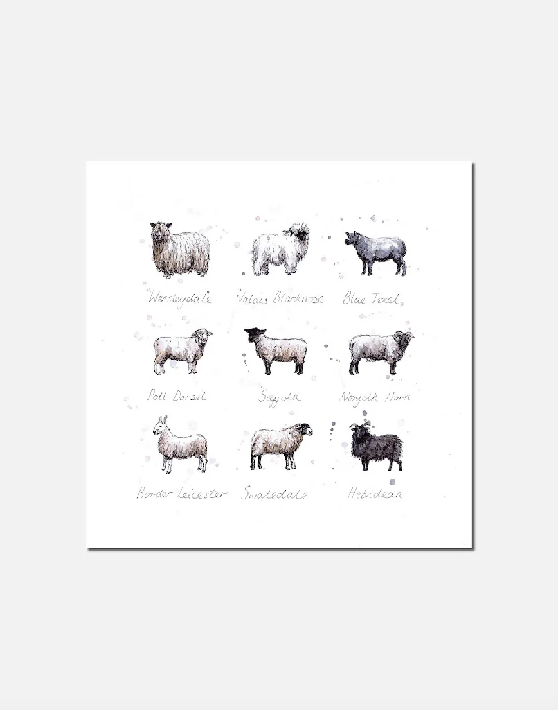 Baa | signed Limited Edition Print - Image 2