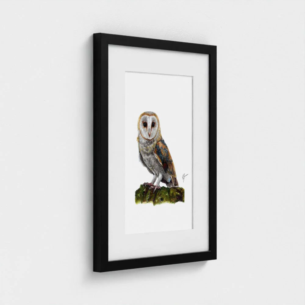 Barn Owl Art Print | British Bird Wall Art | Open Edition - Image 6