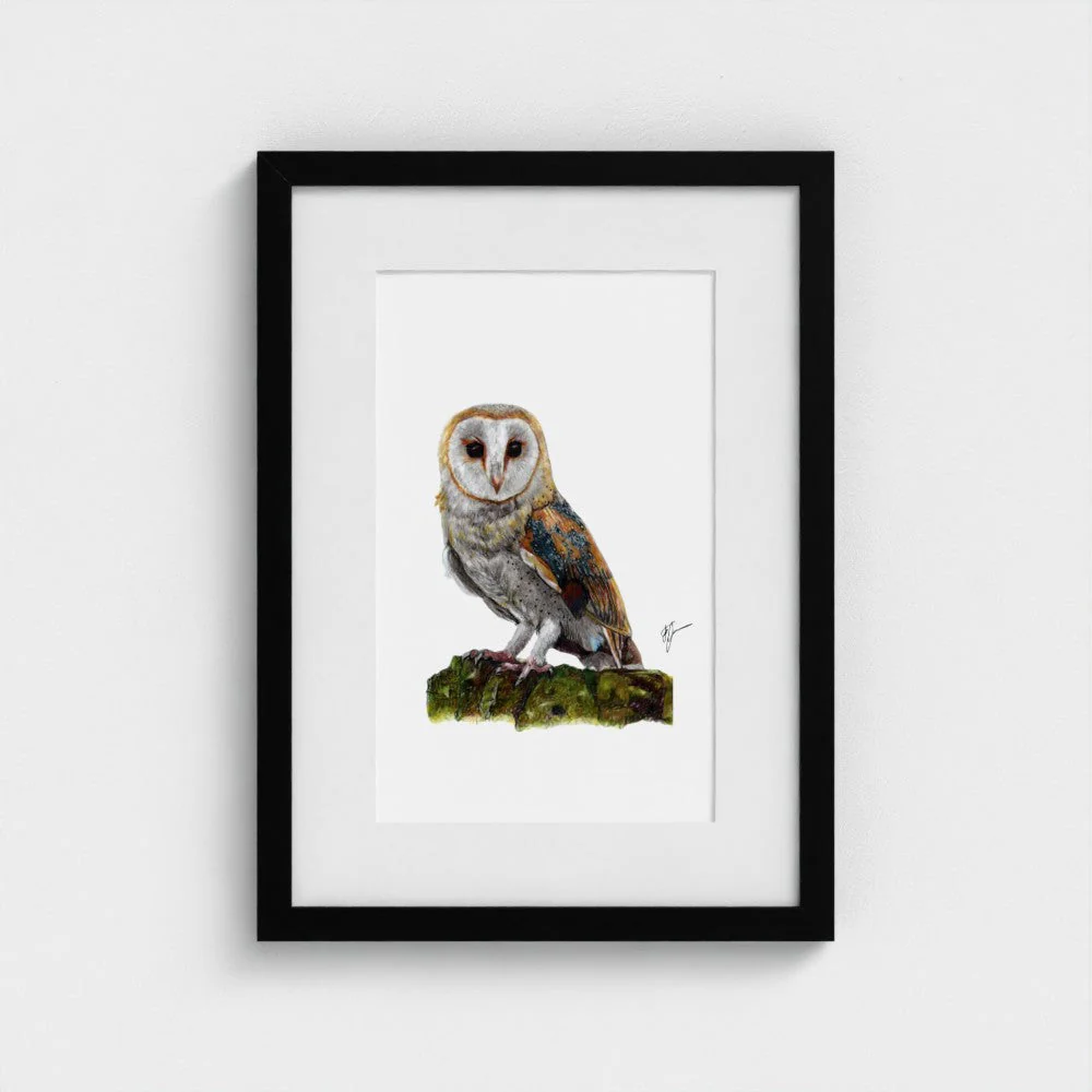 Barn Owl Art Print | British Bird Wall Art | Open Edition - Image 7