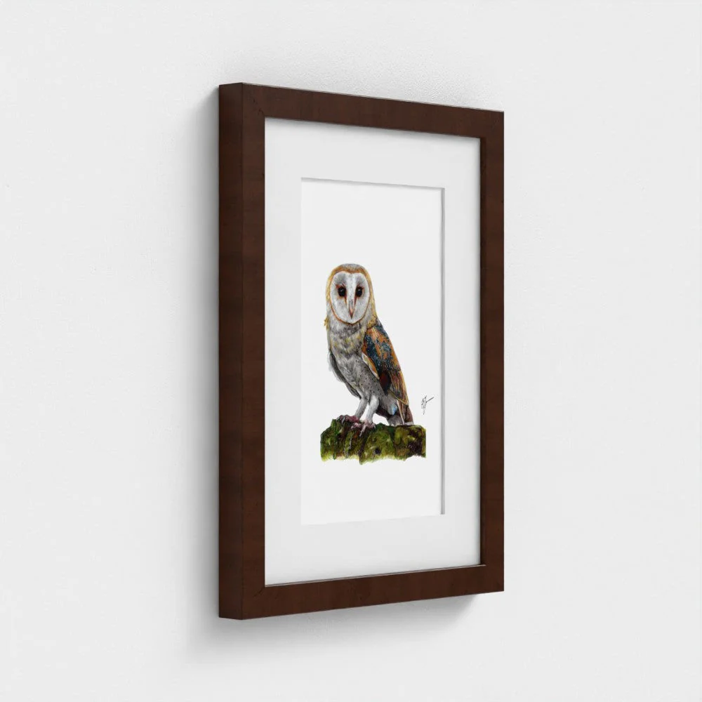 Barn Owl Art Print | British Bird Wall Art | Open Edition - Image 9