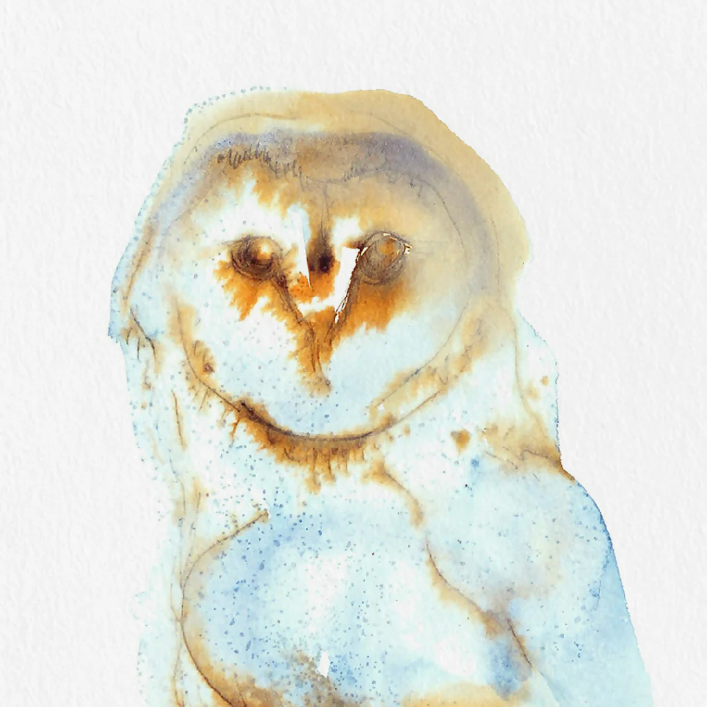Barn Owl Ink & Watercolour Giclée Fine Art Print - Image 3