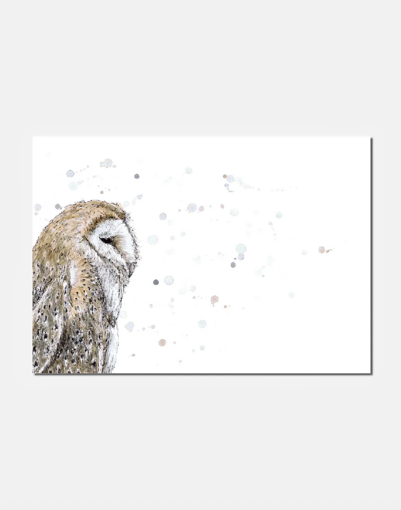 Barn Owl | Signed Limited Edition Print - Image 2