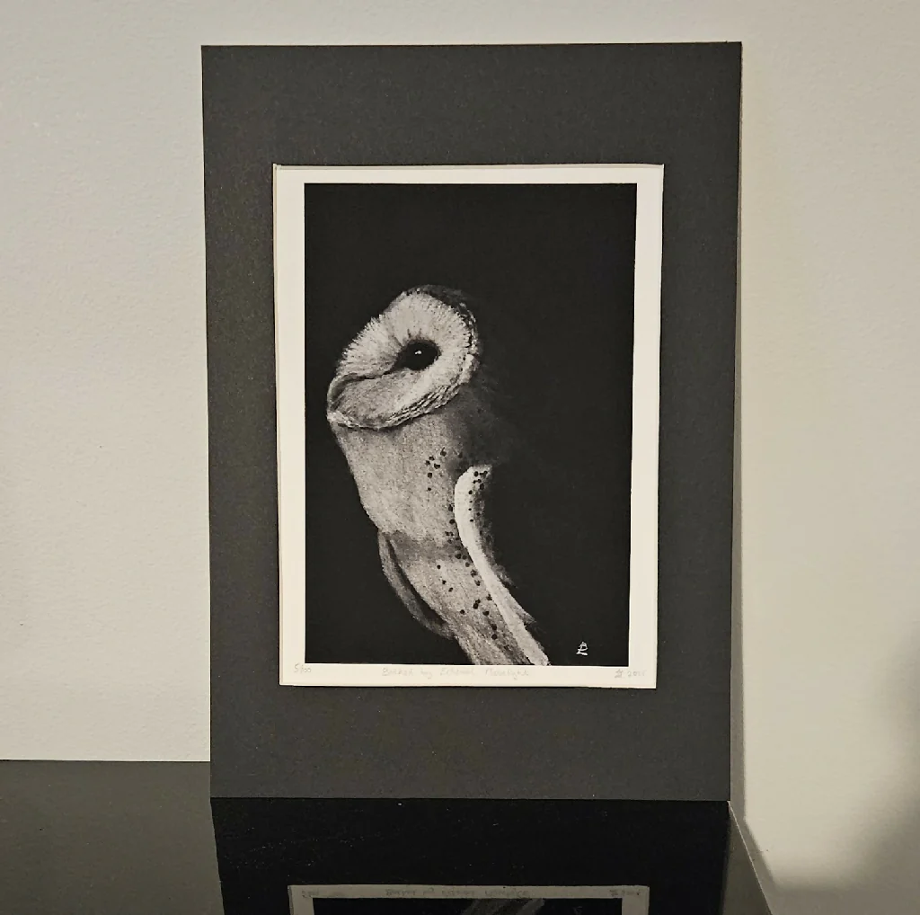 Bathed by Ethereal Moonlight - mounted barn owl art print, A4 size, black and white
