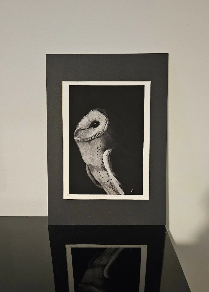 Bathed by Ethereal Moonlight - mounted barn owl art print, A4 size, black and white - Image 2