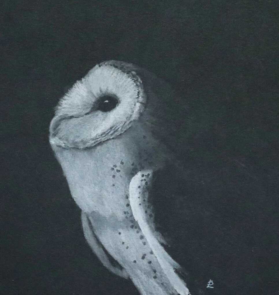 Bathed by Ethereal Moonlight - mounted barn owl art print, A4 size, black and white - Image 3
