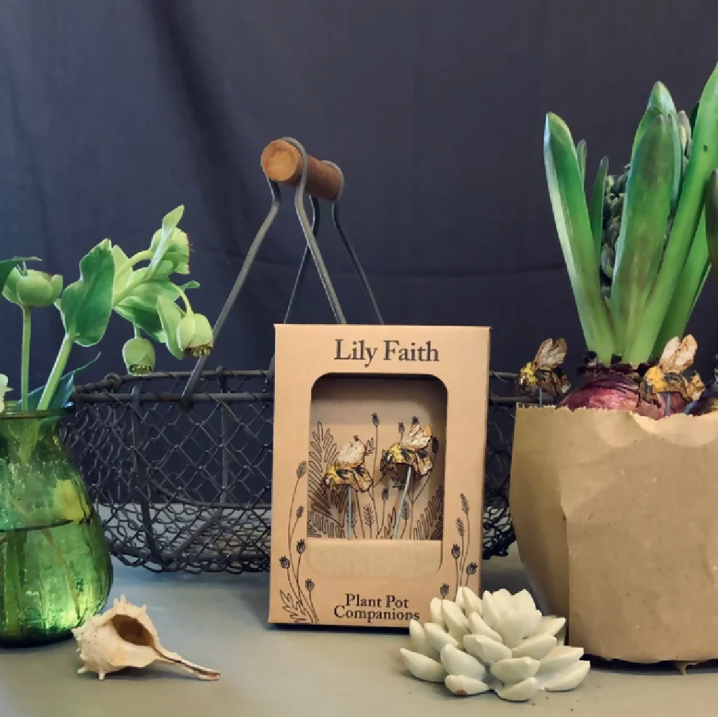 Bee Plant Pot Companions - Image 3