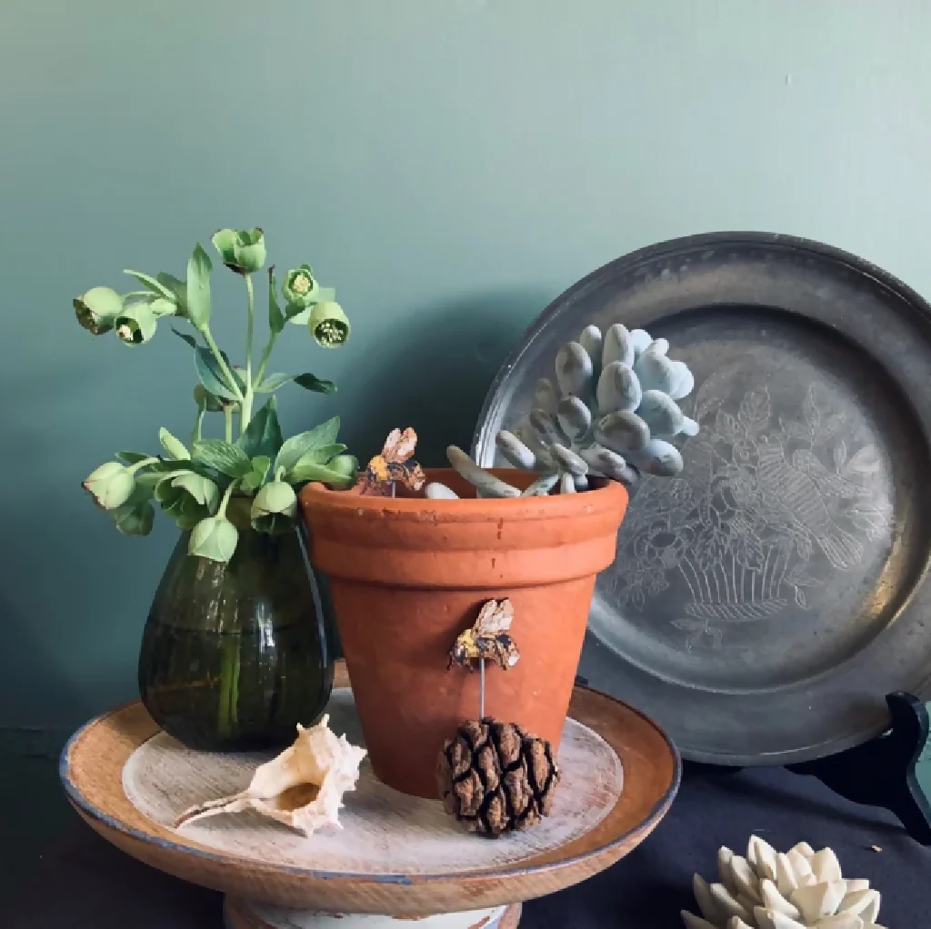 Bee Plant Pot Companions - Image 4