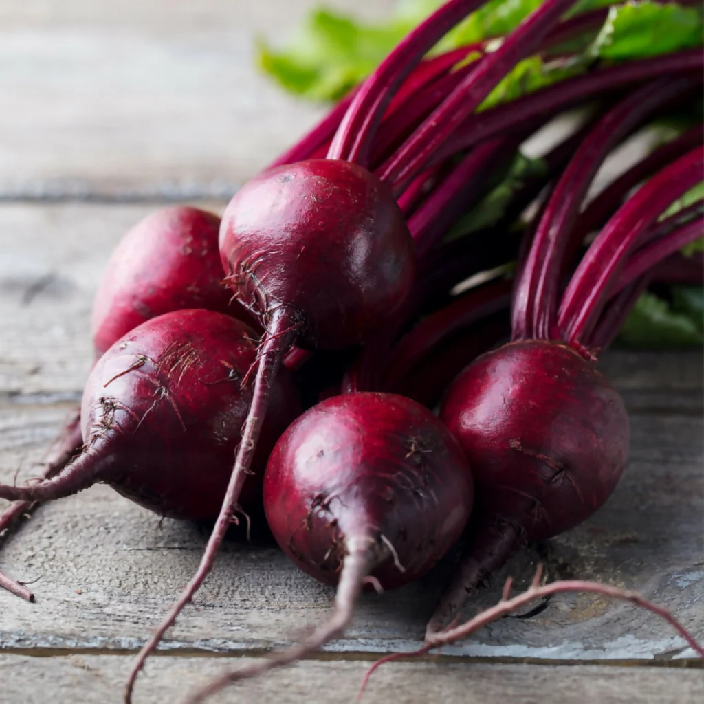 Beetroot Plants, 'Pablo', 24 x Full Plant Pack - Image 2