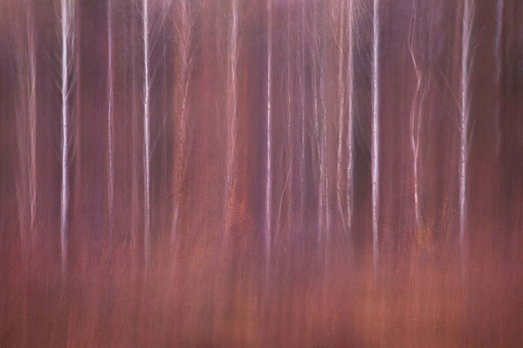 Fine Art for Home Interiors 'Beginnings' - Image 5