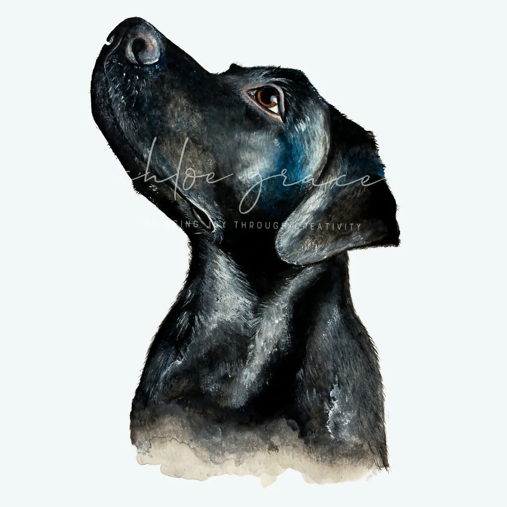 Black Labrador A4 Prints - CountryCollection - Image 3