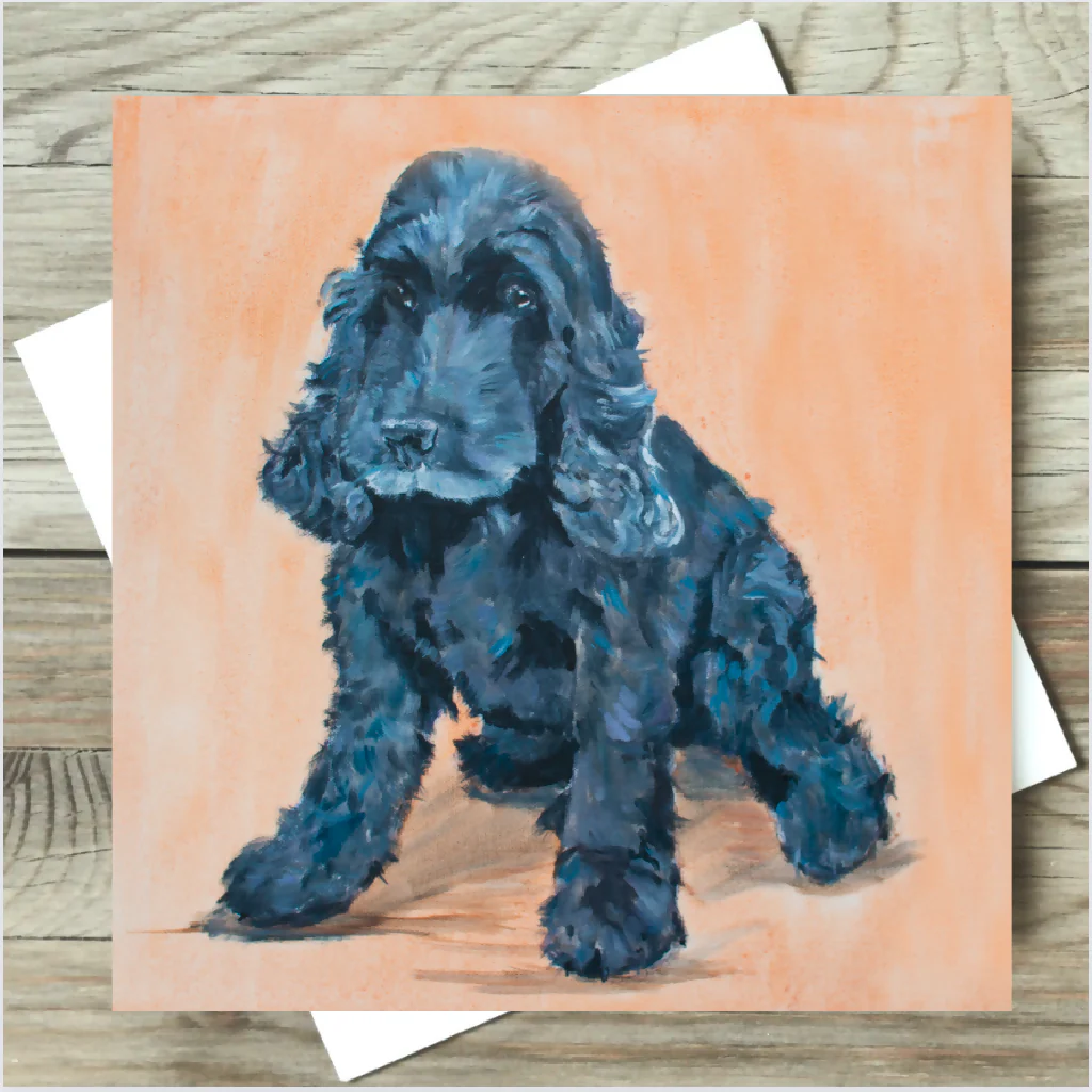 Black Spaniel Card