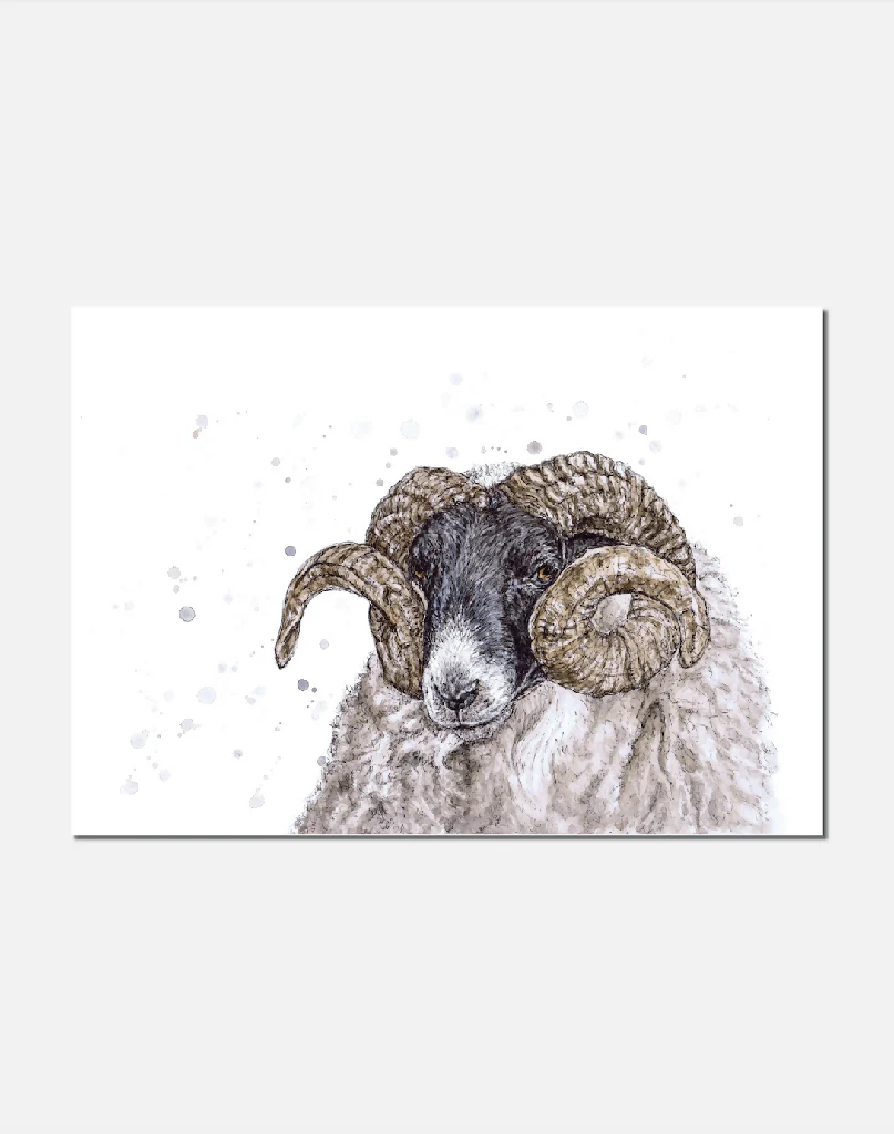 Blackjack| Signed Limited Edition Print - Image 2