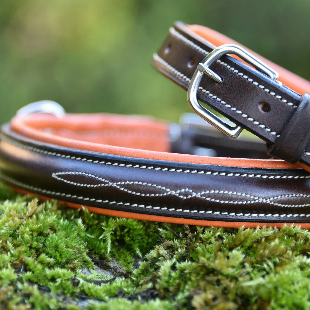Bleaberry Leather Dog Collar - Image 4