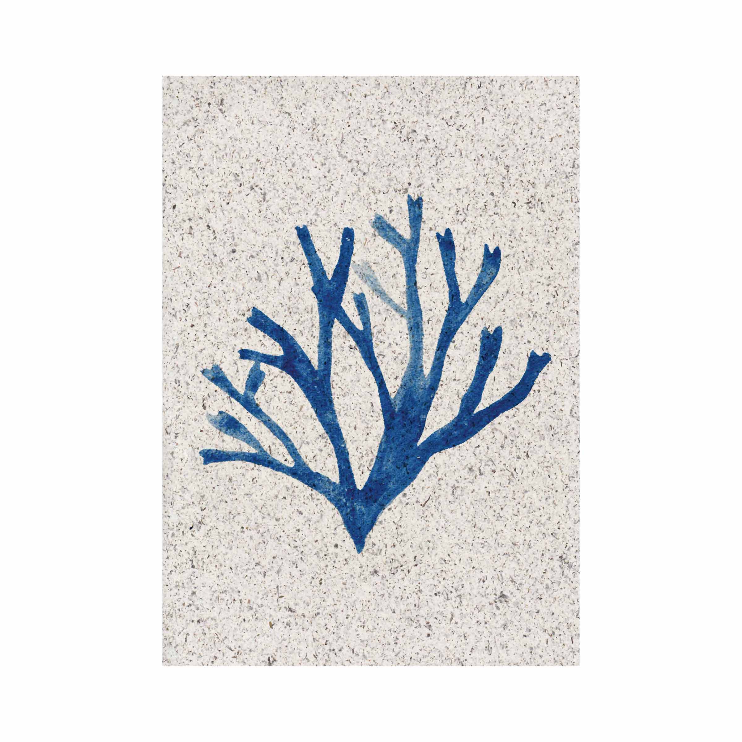 Blue Carageen | A5 | seaweed paper - Image 2