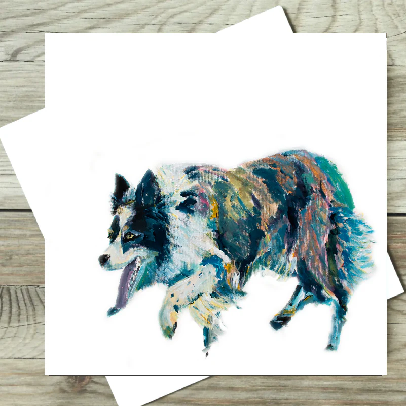 Border Collie Card Birthday or Blank - Image 2