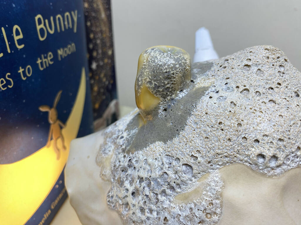 British Woodland Wildlife Table Lamp - #015 - Image 7