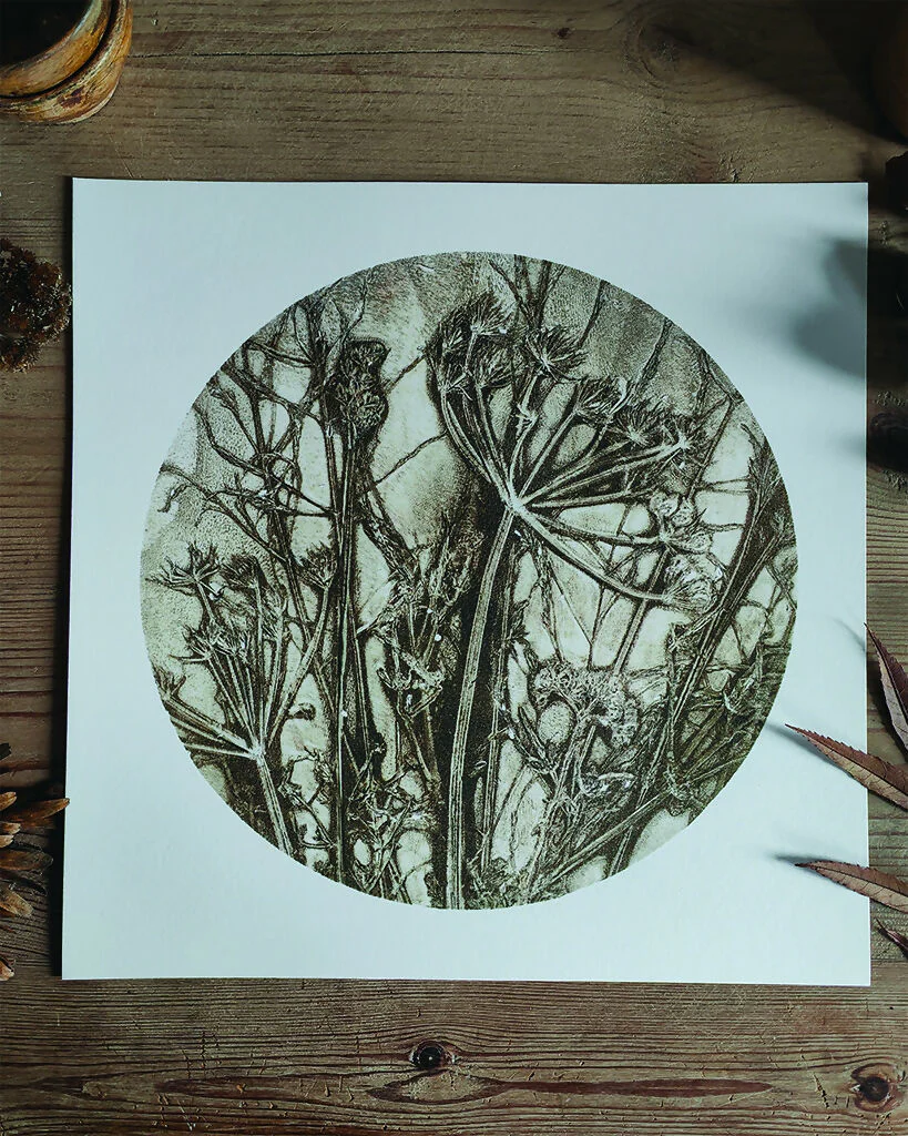 Brown Circular Gelli Print Wildflower and Grasses Giclee Print - Image 2