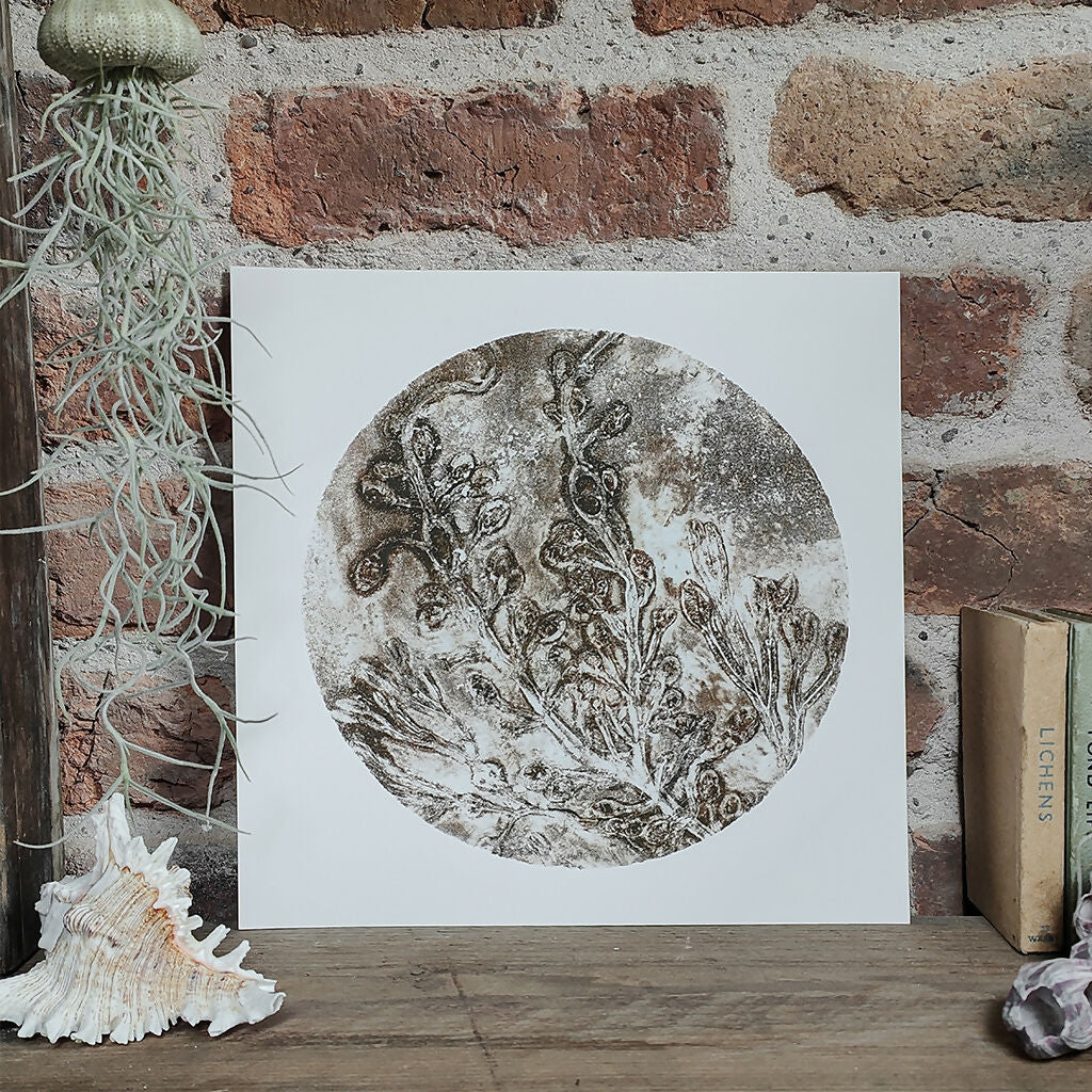 Brown Circular Seaweed Knotted Wrack and Channelled Wrack Gelli Print