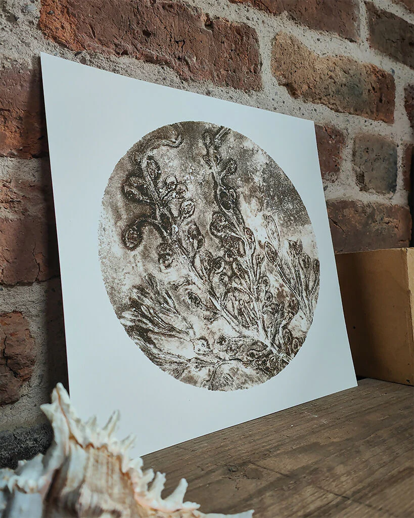 Brown Circular Seaweed Knotted Wrack and Channelled Wrack Gelli Print - Image 4