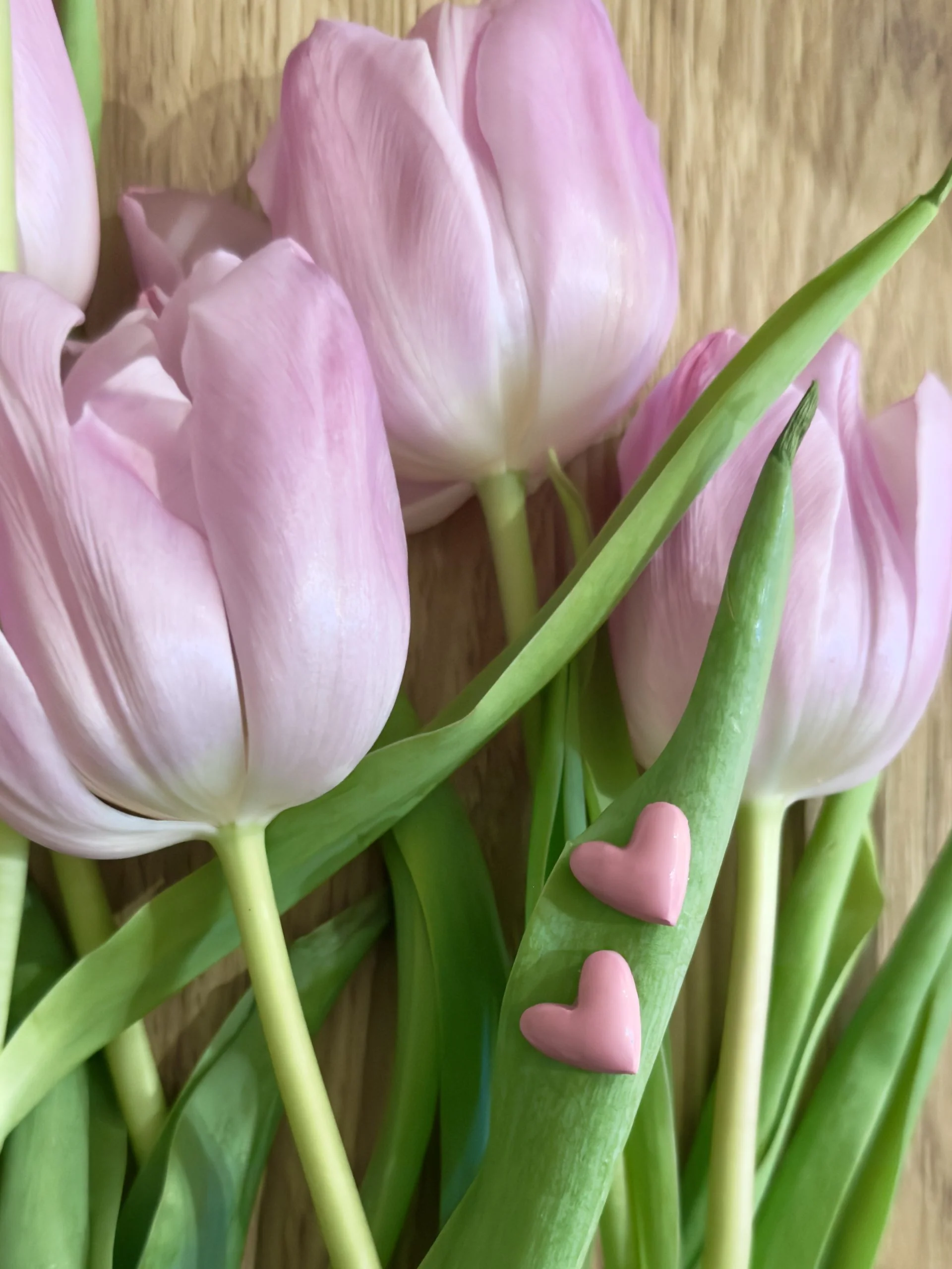 Bubble Heart | Pink | Stud Earrings