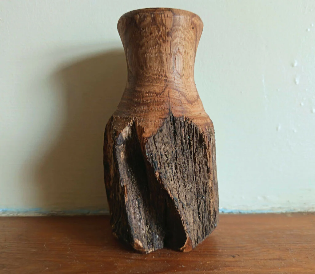 Bud Vase - staghorn oak - Image 5