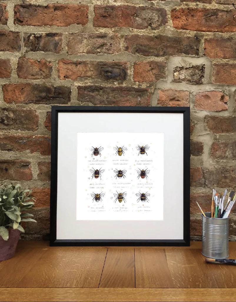 Buzz and Bumble | signed Limited Edition Print