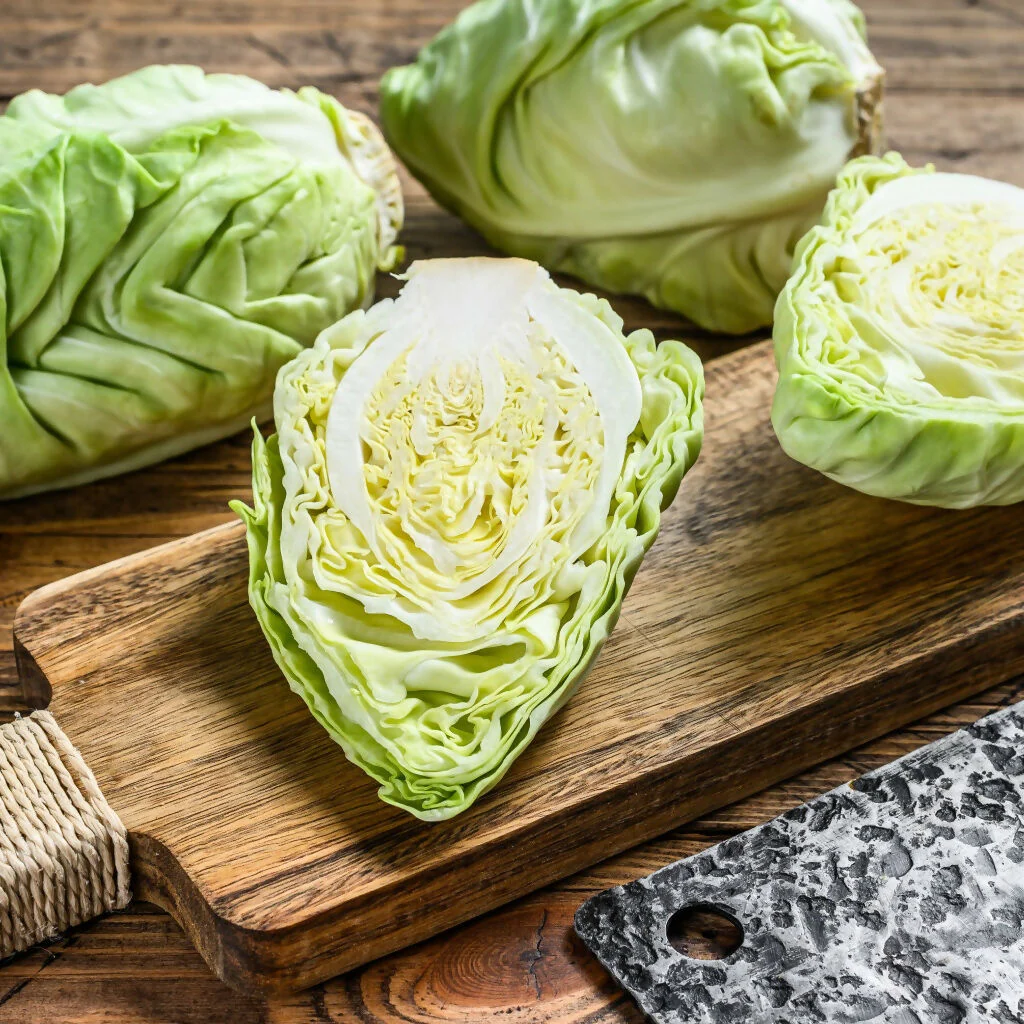 Cabbage Plants, 'Duchy', 12 x Full Plant Pack - Image 4