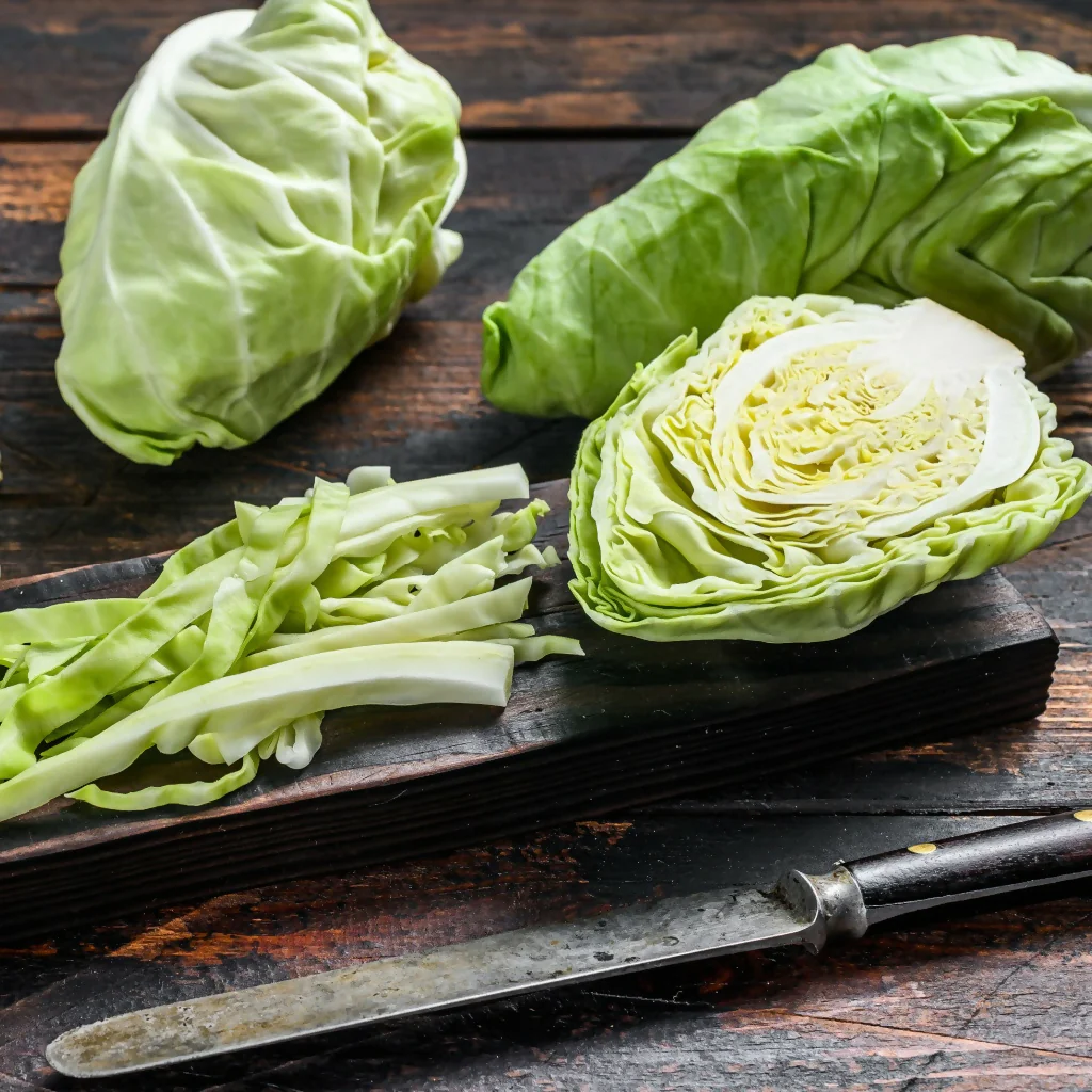 Cabbage Plants, 'Hispi Sweetheart', 12 x Full Plant Pack - Image 2