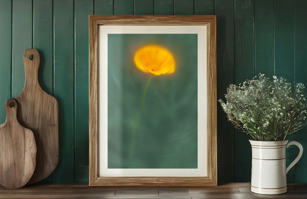 Flower Art Print for Home Interiors 'Californian Poppy'