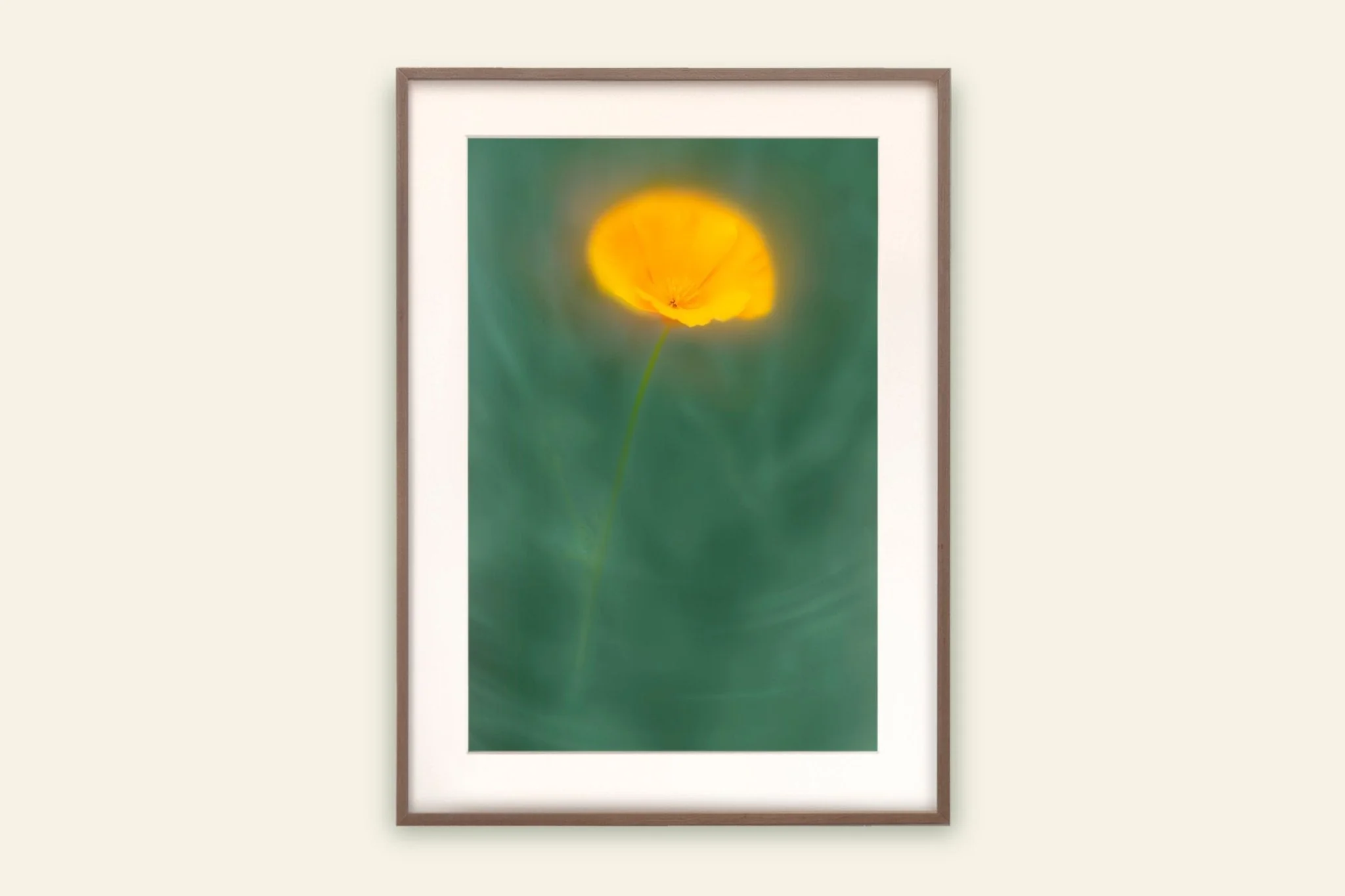 Flower Art Print for Home Interiors 'Californian Poppy' - Image 2