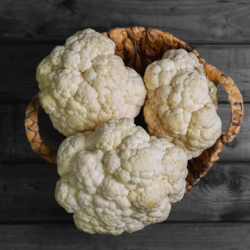 Cauliflower Plants, 'Maystar', Plug Plant Pack