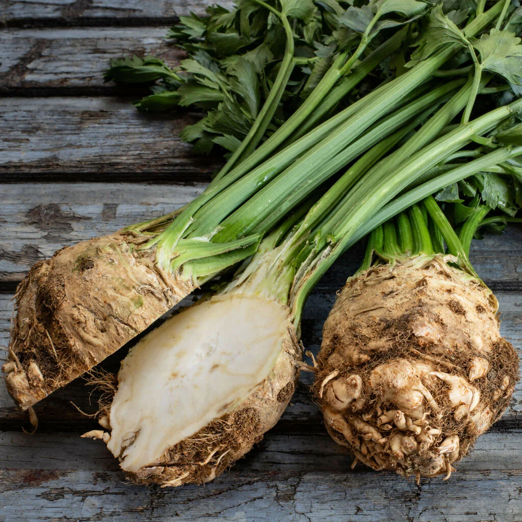 Celeriac Plants, 'Brilliant', 12 x Full Plant Pack - Image 3