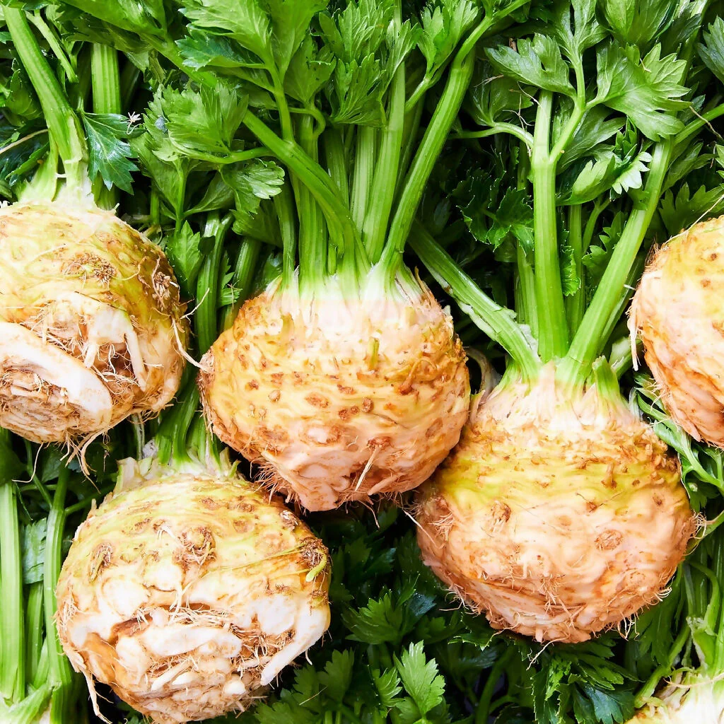 Celeriac Plants, 'Brilliant', 12 x Full Plant Pack - Image 5